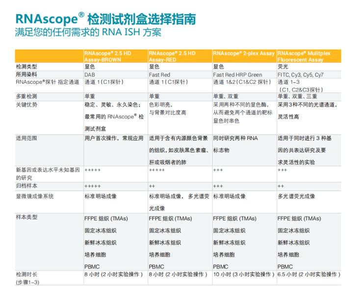RNAscope检测服务-病理实验分析_抗体定制分析_细胞免疫学实验_分子生物学实验_动物实验平台-苏州天斯睿生物技术有限公司